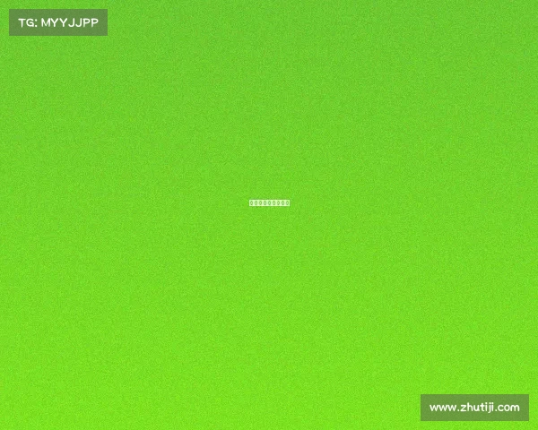 石家庄电竞比赛实况